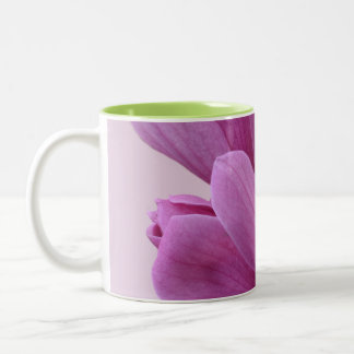Rosa Blasse Magnolie Zweifarbige Tasse