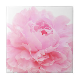 Rosa Blätter Fliese