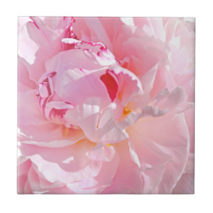 Rosa Blätter Fliese