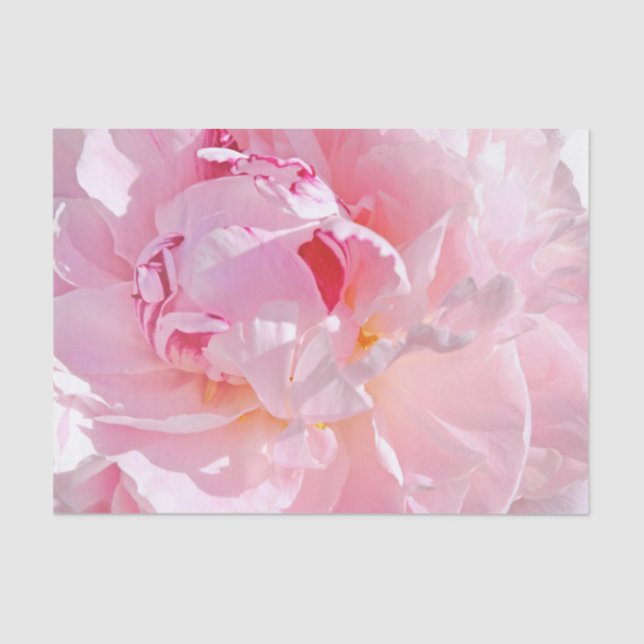 Rosa Blätter Seidenpapier (Vorderseite)