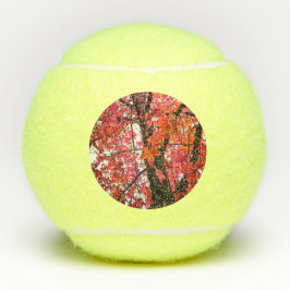 Rosa Blätter Tennisbälle