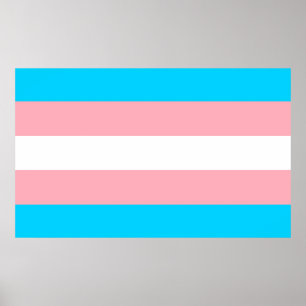 Rosa, Blau und Weiß-Transgender-Flag Poster