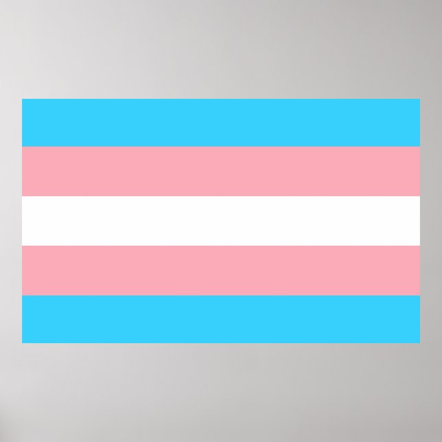 Rosa, Blau und Weiß-Transgender-Flag Poster (Vorne)