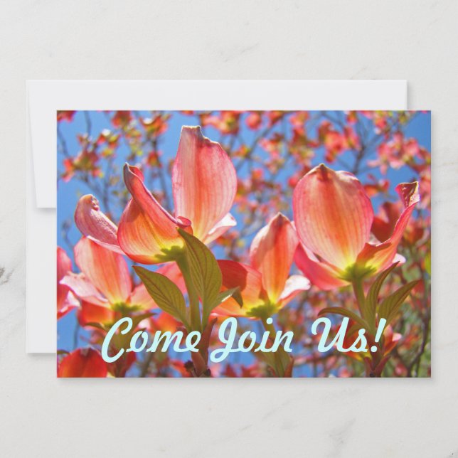 Rosa blaue Einladungen Blume (Vorderseite)