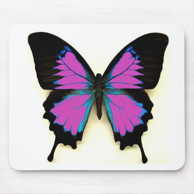 Rosa, blauer und schwarzer Schmetterling Mousepad (Vorne)