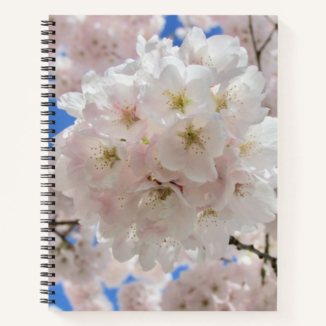 Rosa Blossom Balls. Notizbuch (Vorderseite)