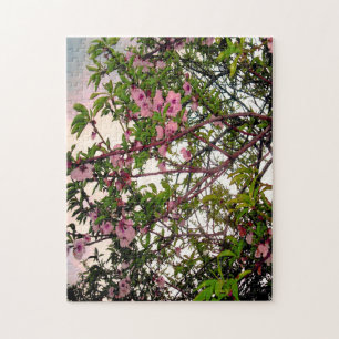 Rosa Blossom Baumfarbe, Puzzle