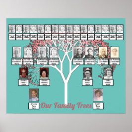 Rosa Blossom Fraktal Tree Aquamarin 2 Familienbäum Poster