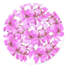 Rosa Blossom - Rundflorenaufkleber