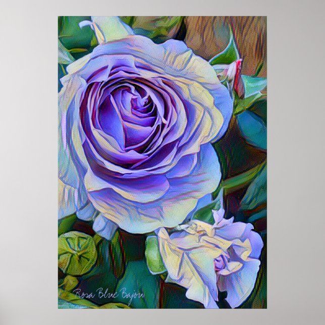 Rosa Blue Bajou [Plakat] Poster (Vorne)