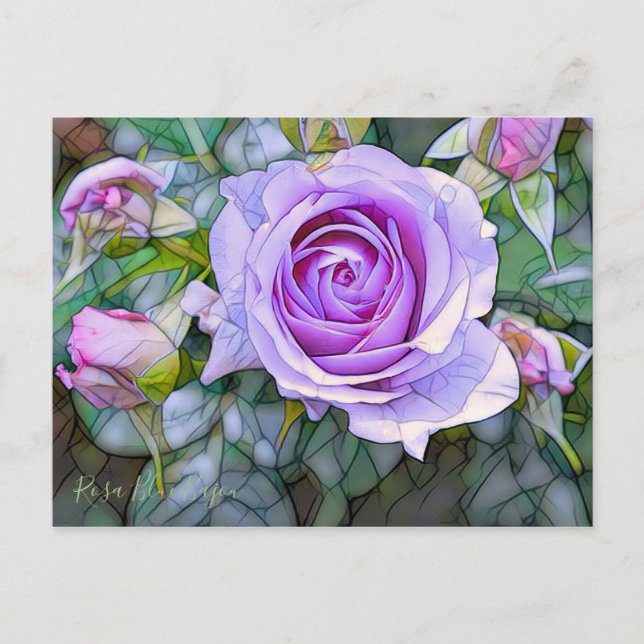 Rosa Blue Bajou [Postcard] Postkarte (Vorderseite)