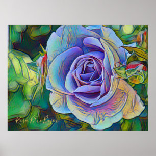 Rosa Blue Bajou [Value Poster Paper]