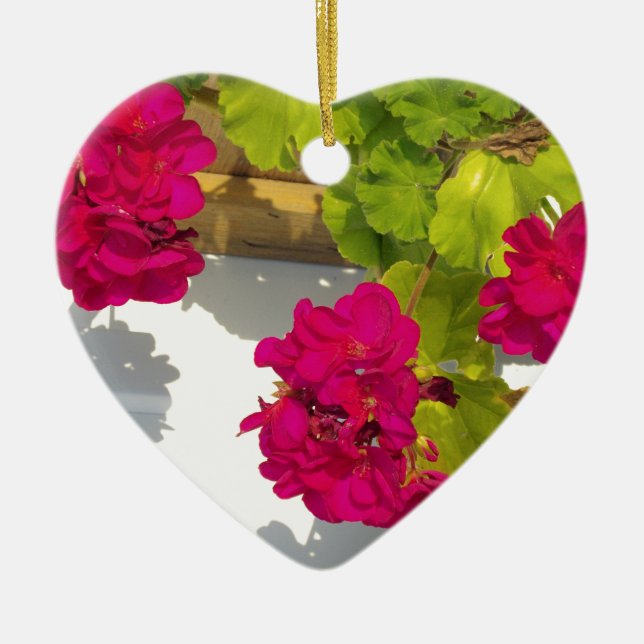 Rosa blühende Blume Pink Geranium Keramikornament (Vorne)