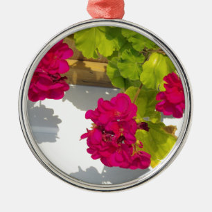 Rosa blühende Blume Pink Geranium Silbernes Ornament