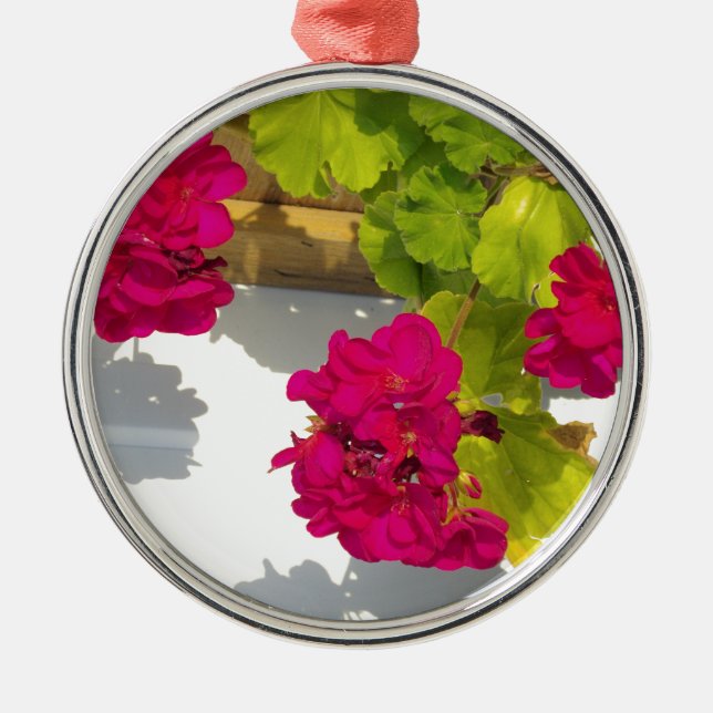 Rosa blühende Blume Pink Geranium Silbernes Ornament (Vorne)