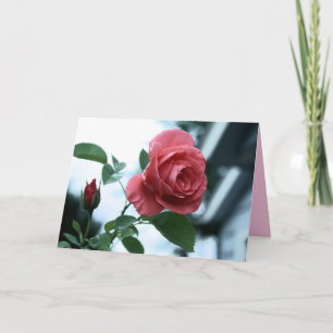 Rosa blühende Rose Glückwunschkarte der Mutter Karte