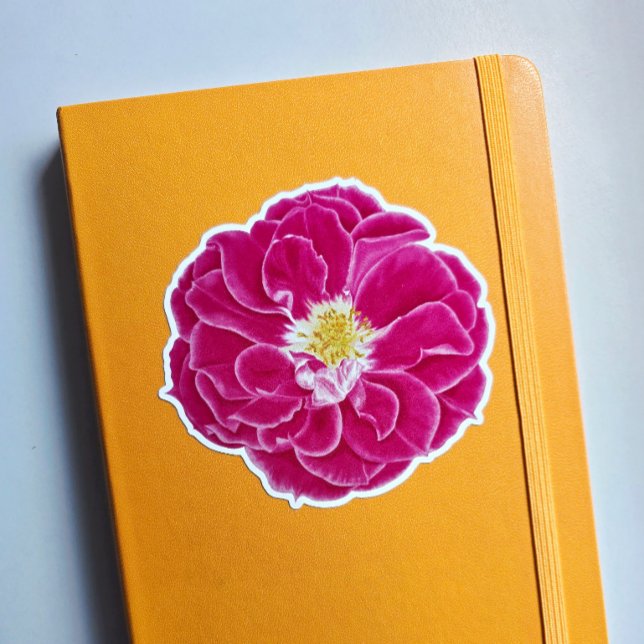 Rosa blühende Rose Sticker für botanische Kunst (This is a sticker I ordered myself in the Glossy White 4 inch size.)
