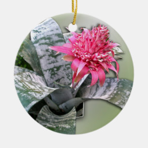 Rosa blühte Bromeliad Keramikornament