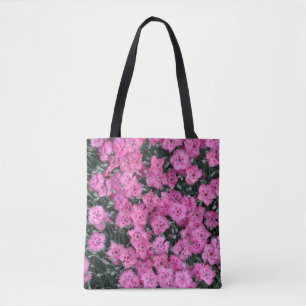 Rosa Blume