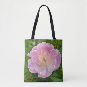 Rosa Blume