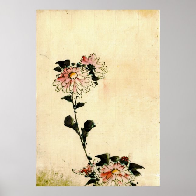 Rosa Blume 1840 Poster (Vorne)