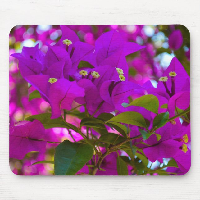 Rosa Blume - #1 Mousepad (Vorne)