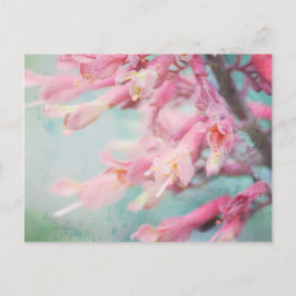 Rosa Blume auf Aqua-Hintergrund Postkarte