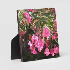 Rosa Blume auf dem Baum Fotoplatte