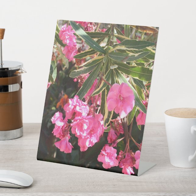 Rosa Blume auf dem Baum Sockelschild (In SItu)