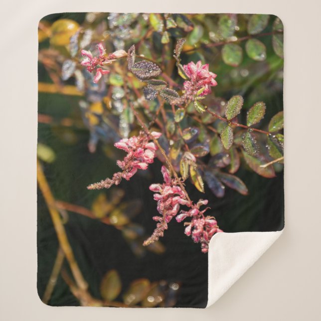 Rosa Blume auf schwarzem Hintergrund Sherpadecke (Vorderseite)