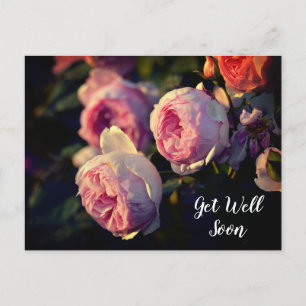 Rosa Blume aus dem Garten werden bald gut. Postkarte