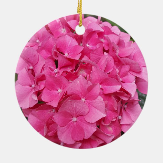 Rosa Blume Blumenfotografie Natur Keramik Ornament (Hinten)