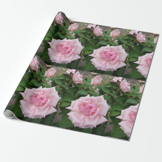 Rosa Blume Blumengarten Wrapping Geschenkpapier (Ungerollt)