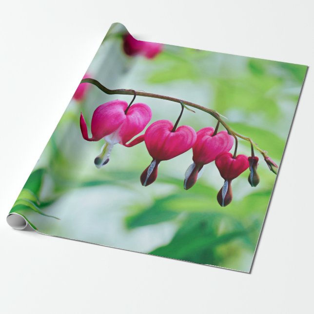 Rosa Blume Blutungen Herz Hübsch Elegant Geschenkpapier (Ungerollt)