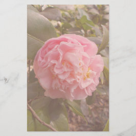 Rosa Blume Briefpapier