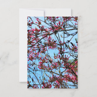 Rosa Blume Buds auf einem Baum Einladung