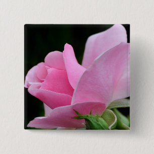 Rosa Blume Button