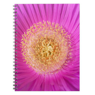 Rosa Blume Center Notebook Notizblock