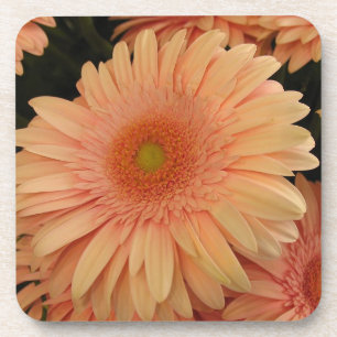 Rosa Blume Cork Untersetzer