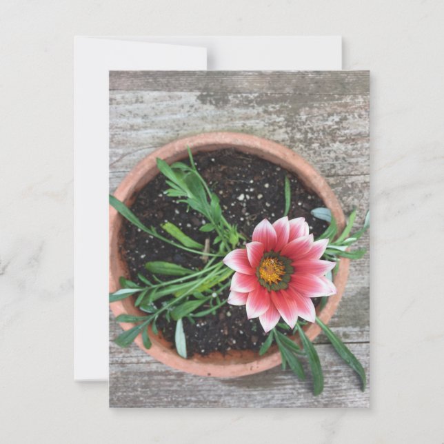 Rosa Blume Einladung (Vorderseite)