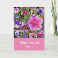 Rosa Blume Floralische Rose Petunia Denken Sie an