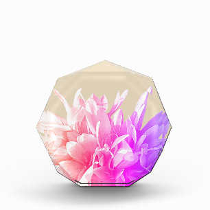 Rosa Blume Foto
