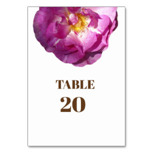 Rosa Blume Foto Card Tablecard, Basic Tischnummer