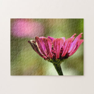Rosa Blume Foto Puzzle