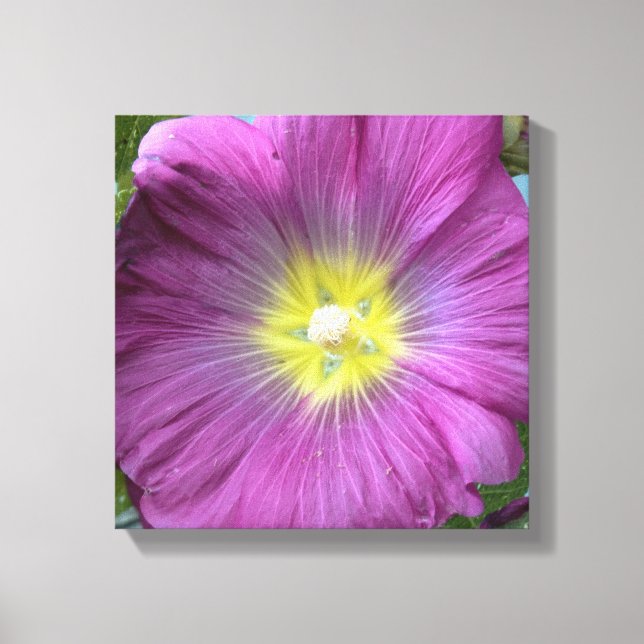 Rosa Blume Foto Single Reproduktion Leinwanddruck (Vorderseite)