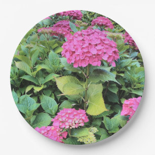 Rosa Blume Foto Teller 9 in