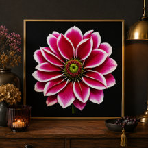 Rosa Blume