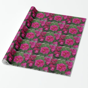 Rosa Blume Fotografie Wrapping Paper Geschenkpapier