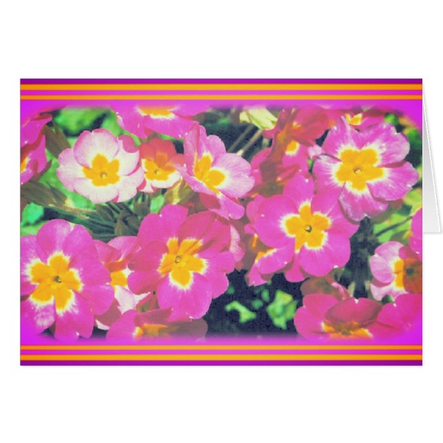 Rosa Blume Fotokarte (Vorderseite (Horizontal))