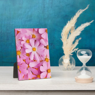 Rosa Blume Fotoplatte